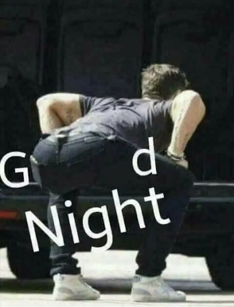 Meme mèo nằm ngủ tạo nên những khoảnh khắc đáng yêu