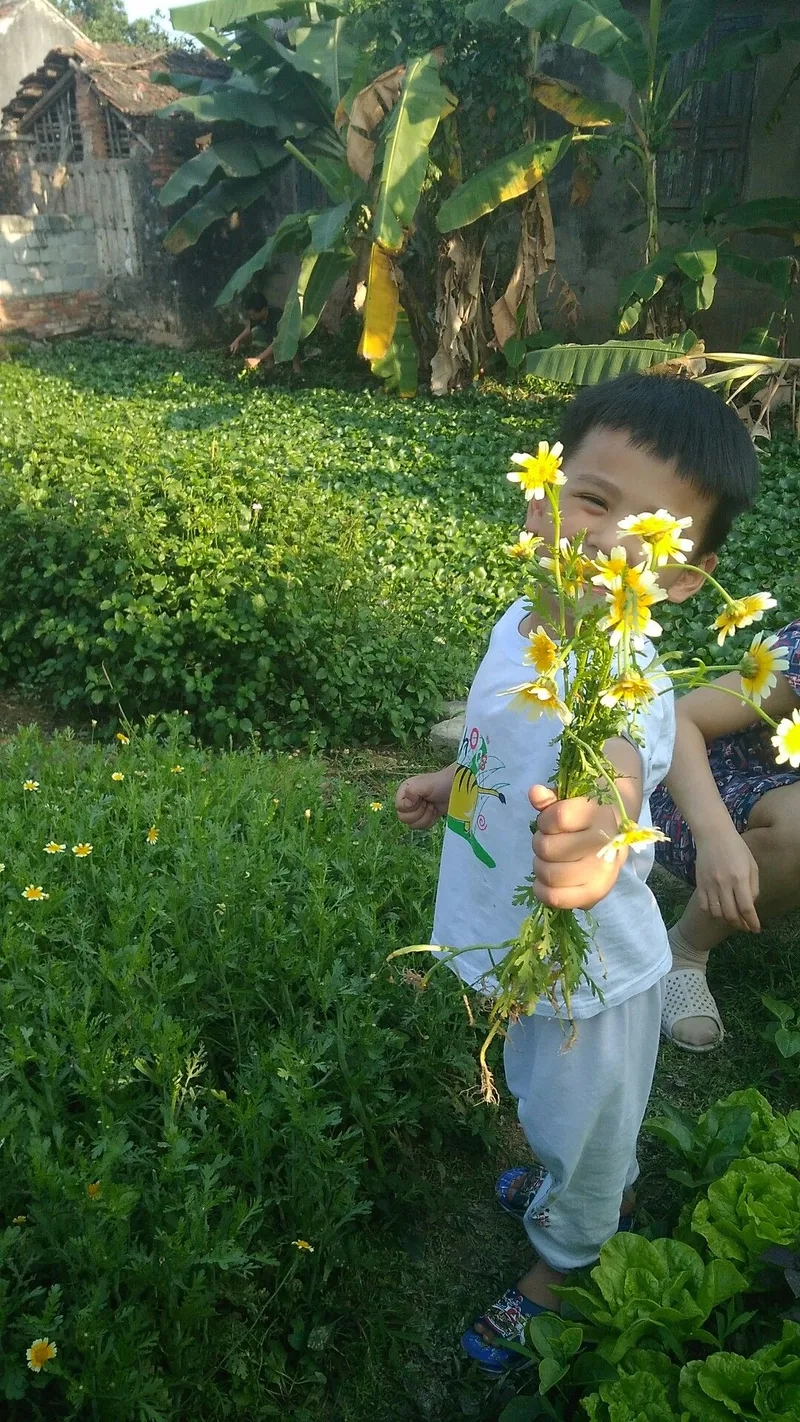 Meme chó tặng hoa luôn làm tan chảy trái tim người xem