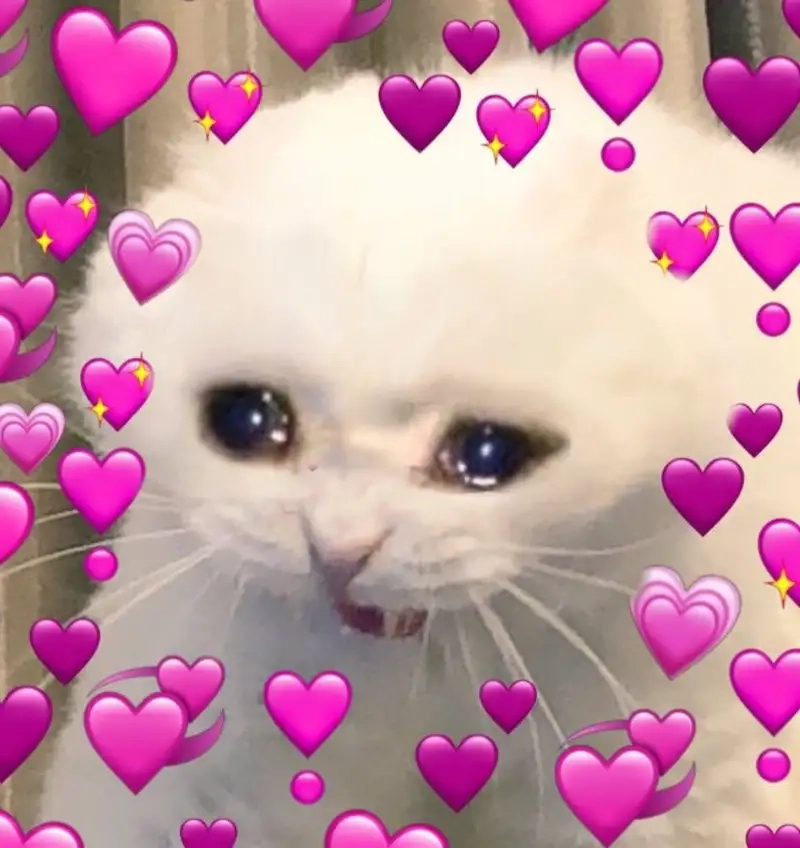 Ảnh chế em bé ho ra trái tim meme tạo nên sự dễ thương