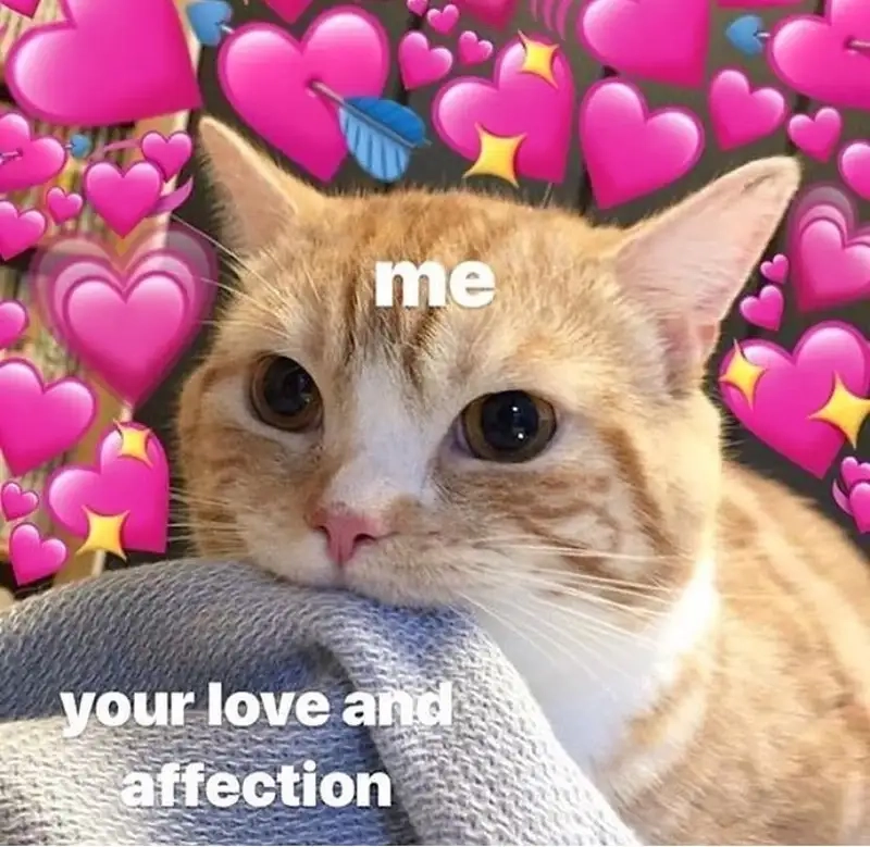 Meme em bé ho ra trái tim mang đến sự vui nhộn