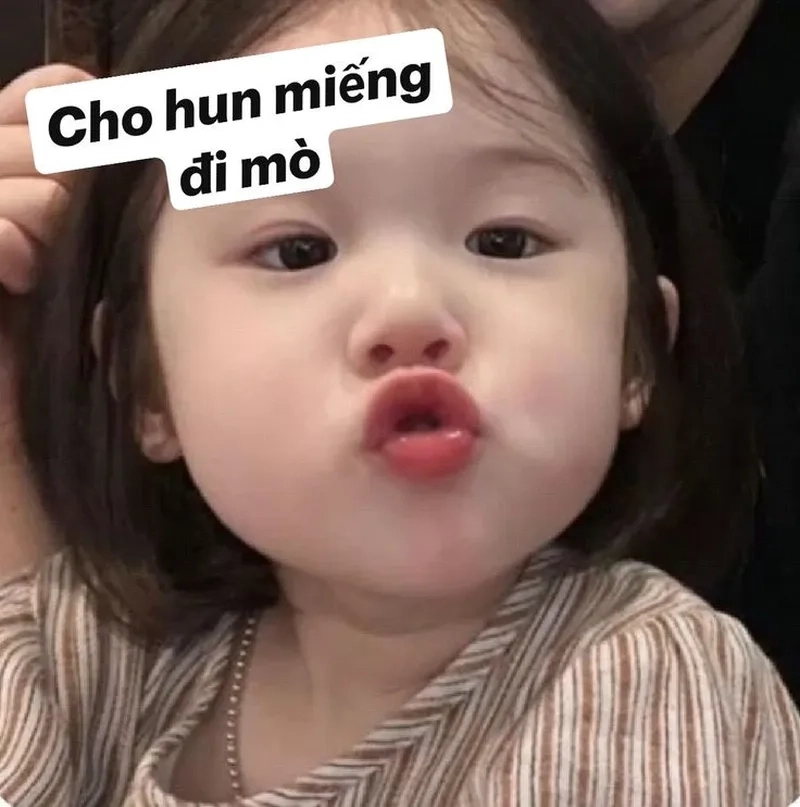 Meme yêu nhiều luôn làm tan chảy trái tim người xem