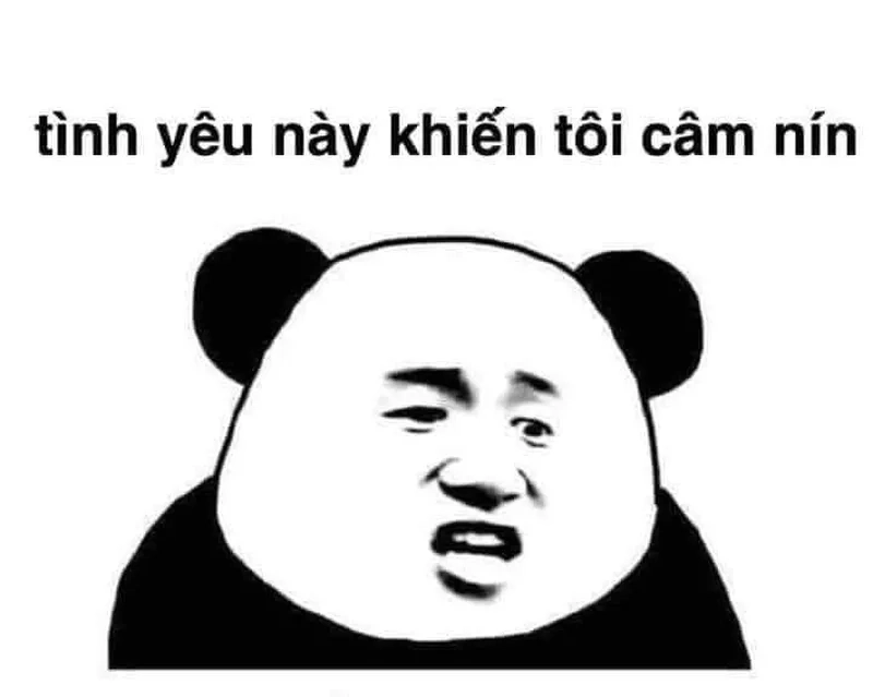 Meme mèo buồn tạo nên những khoảnh khắc đáng yêu