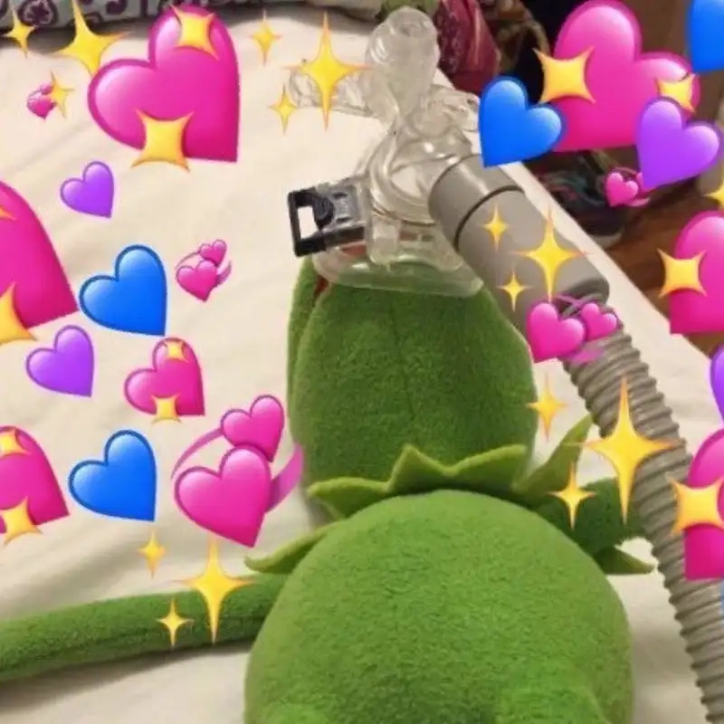 Meme mèo thả tim luôn làm tan chảy trái tim người xem