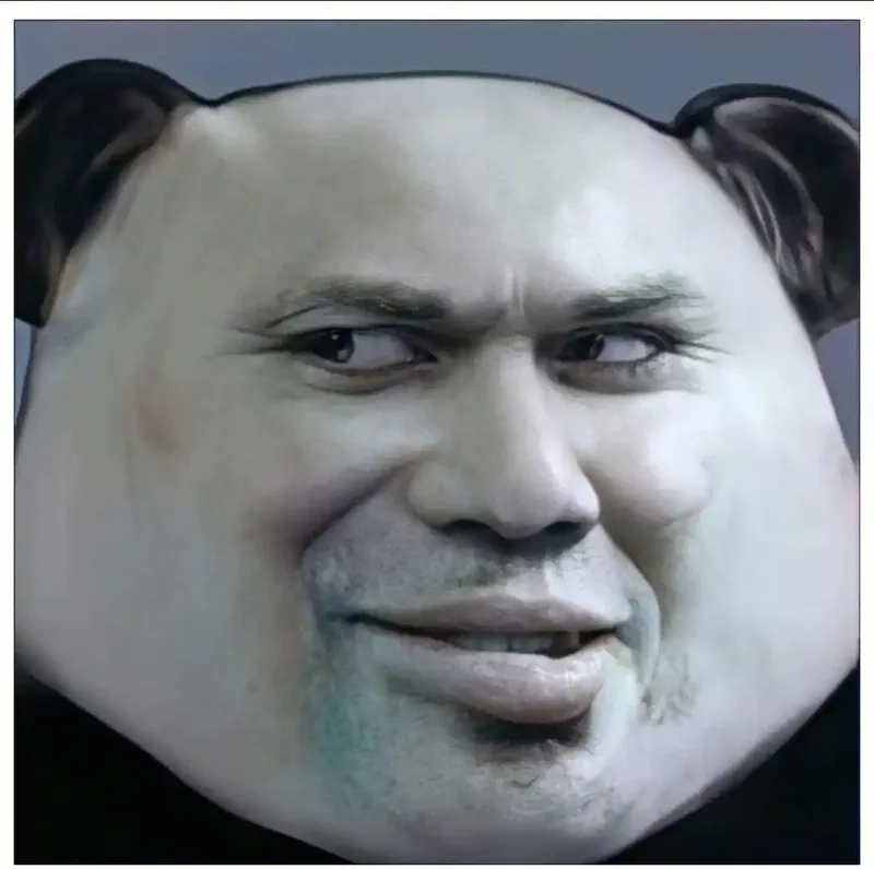 Meme mèo béo trung quốc tạo nên sự hài hước và vui nhộn