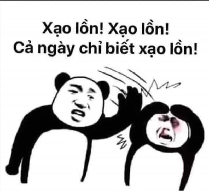 Meme cười trung quốc mang đến sự vui vẻ cho người xem