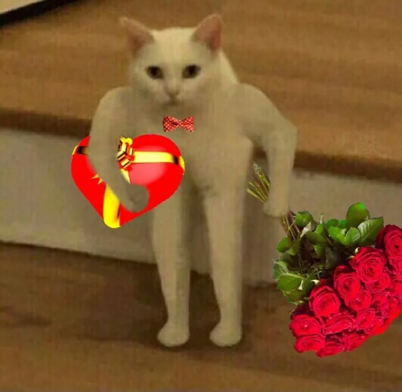 Meme tặng tim tạo nên những khoảnh khắc đáng yêu