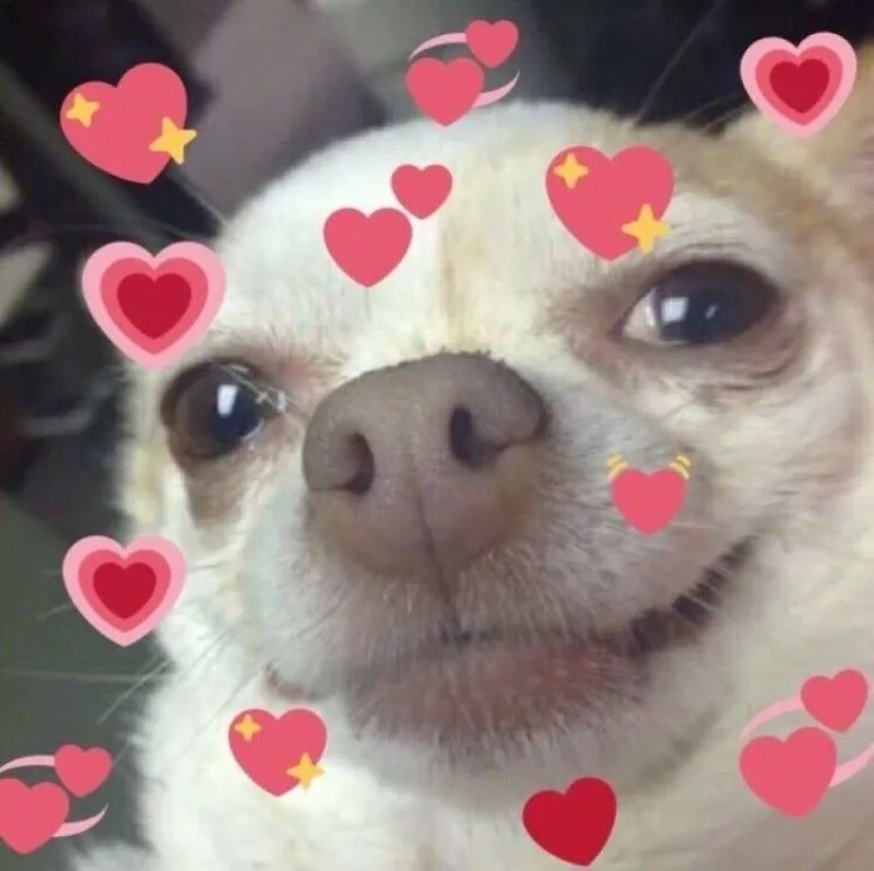 Ảnh meme cute tình yêu tạo nên những khoảnh khắc vui vẻ