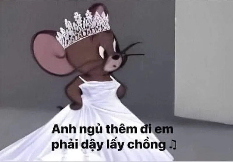 Meme mèo bắn tim tạo nên những khoảnh khắc vui vẻ