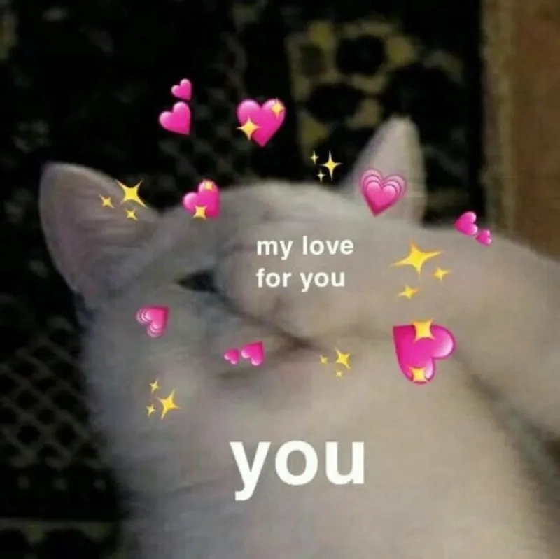 Meme anh hết yêu em rồi luôn gây ấn tượng với sự chân thành