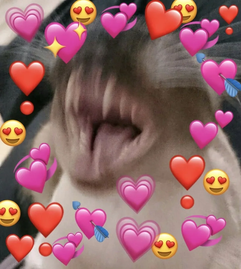 Meme ăn người yêu tạo nên những khoảnh khắc hài hước