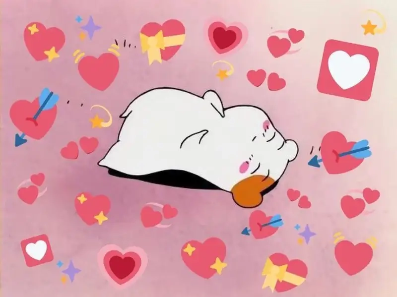 Meme mèo bắn tim luôn làm tan chảy trái tim người xem