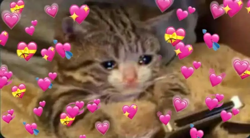 Meme bắn tim hài tạo nên sự vui vẻ và hài hước