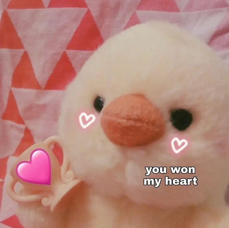 Meme làm trái tim tạo nên sự dễ thương và đáng yêu