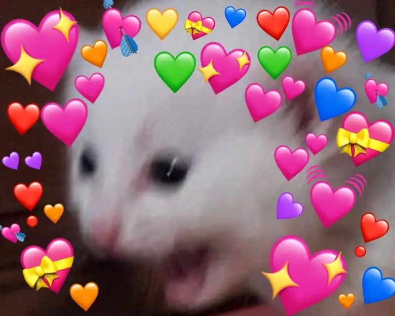 Ảnh meme bắn tim luôn gây ấn tượng với sự hài hước