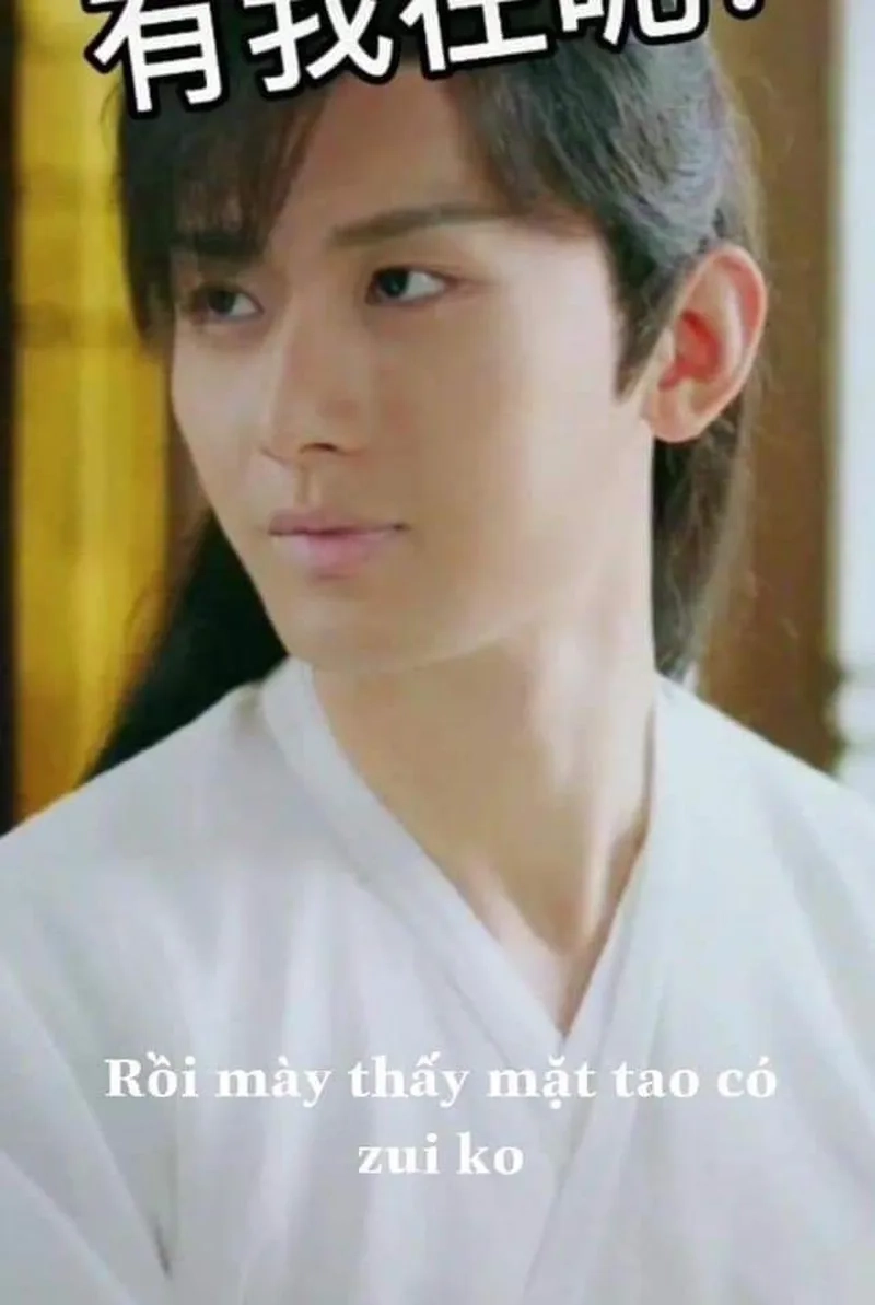 Meme mèo khóc mang đến sự hài hước và cảm động