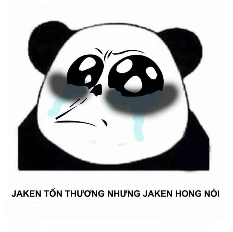 Meme cảm ơn thể hiện sự chân thành và gần gũi