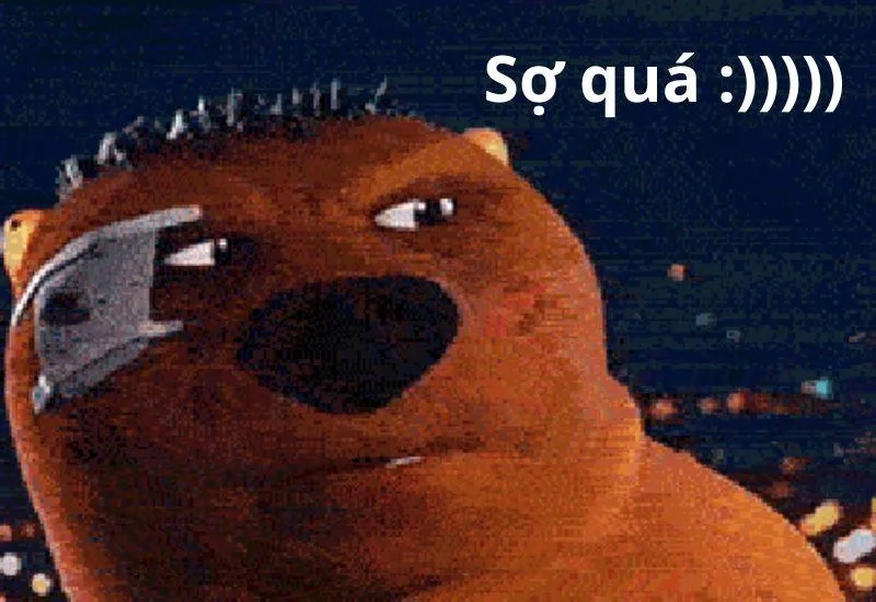 Meme mèo quạo tạo nên những khoảnh khắc hài hước