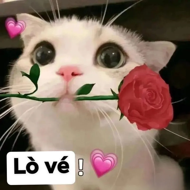 Nhạc meme trung quốc tạo nên những khoảnh khắc vui vẻ