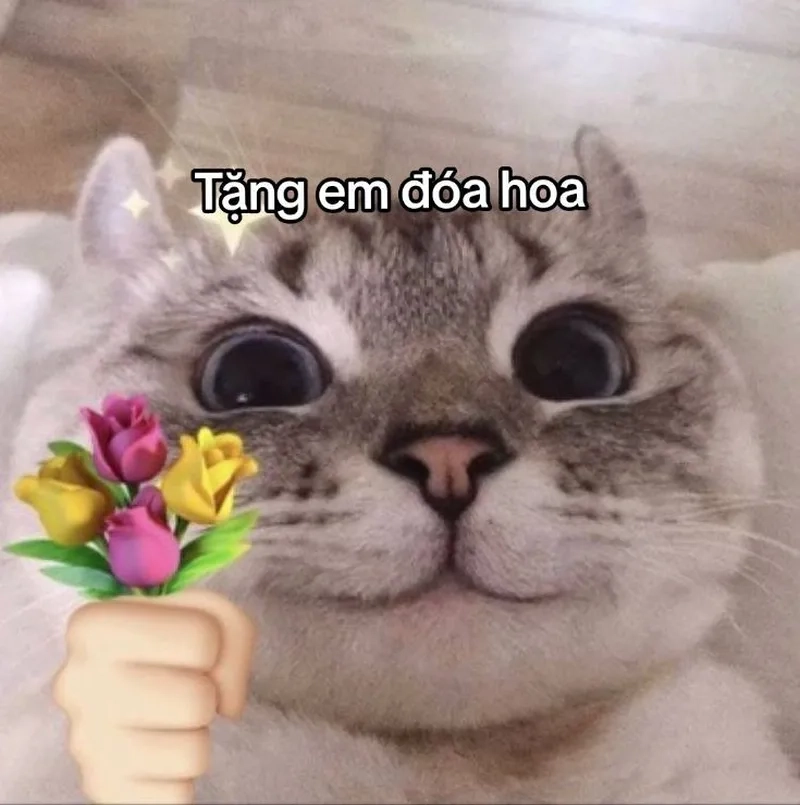 Meme tặng hoa cute tạo nên những khoảnh khắc đáng yêu