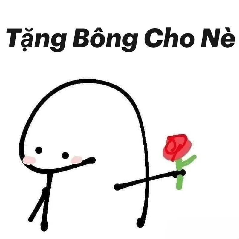 Hình trái tim cute meme mèo tặng hoa luôn làm tan chảy trái tim