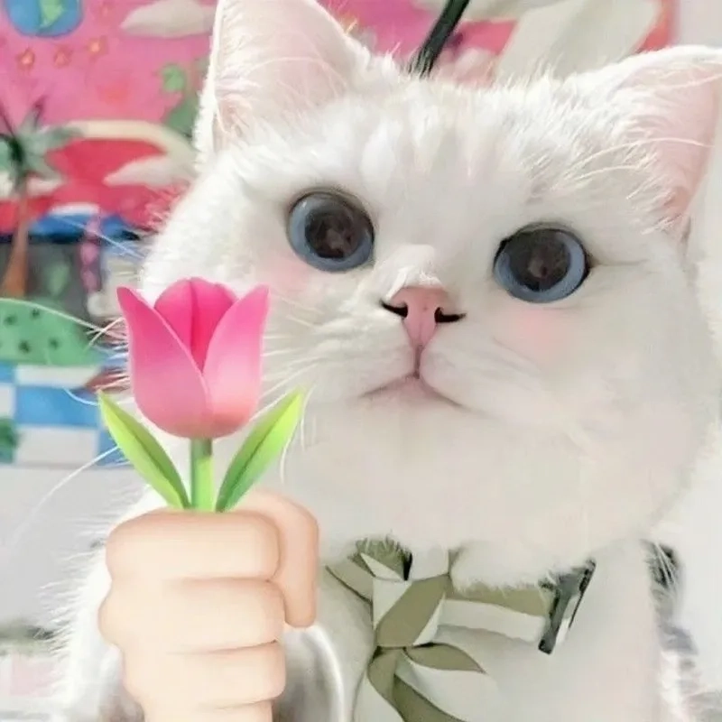 Meme đưa tiền luôn gây ấn tượng với sự hài hước