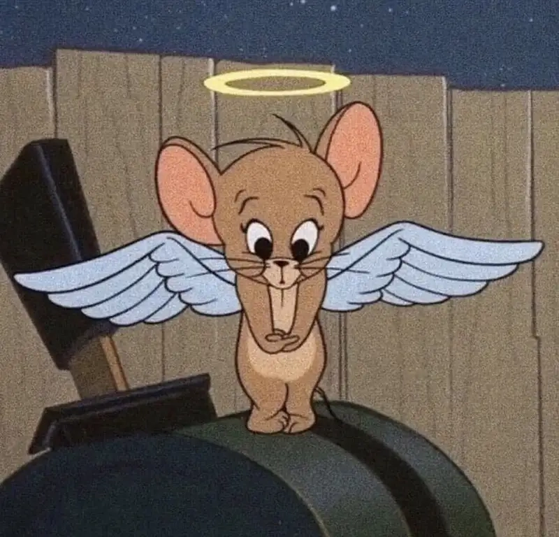 Mèo tom và jerry meme tạo nên sự dễ thương và vui nhộn