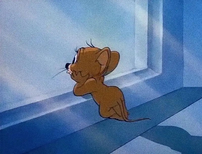 Meme tom jerry tạo nên những khoảnh khắc đáng yêu