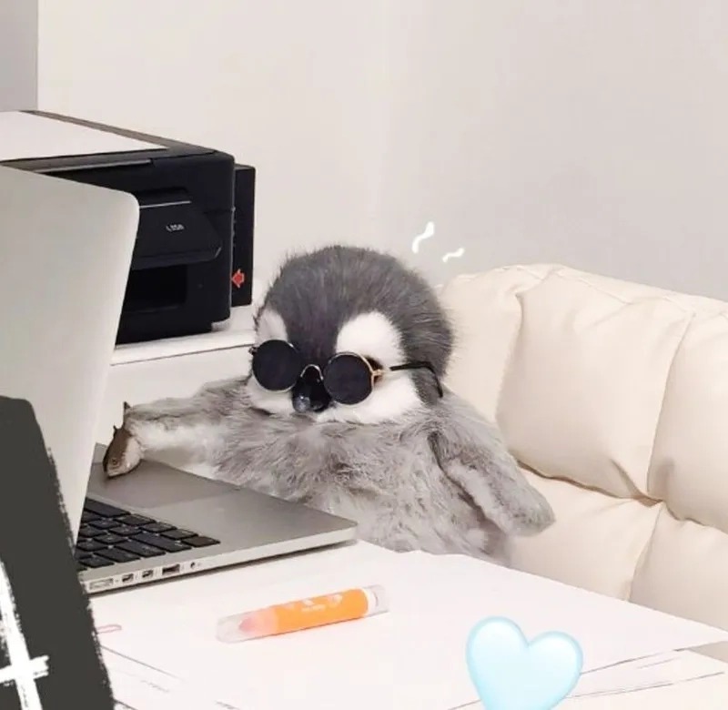 Ảnh meme chim cánh cụt khiến bạn không thể không mỉm cười