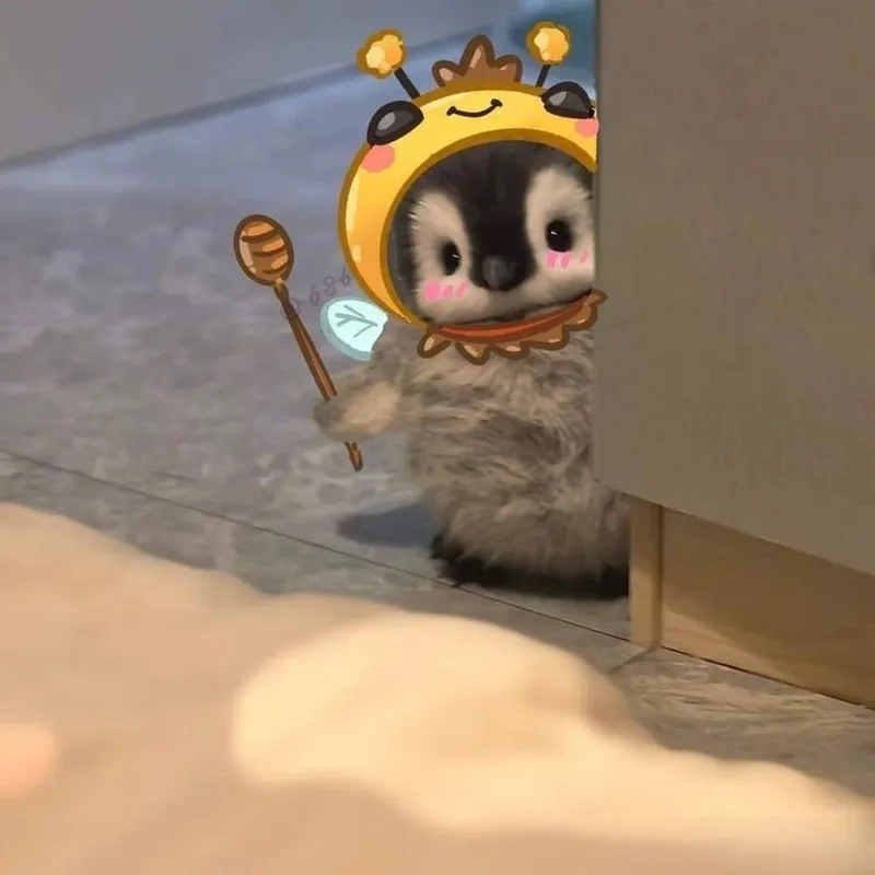 Chim cánh cụt pororo meme khiến mọi người không thể nhịn cười