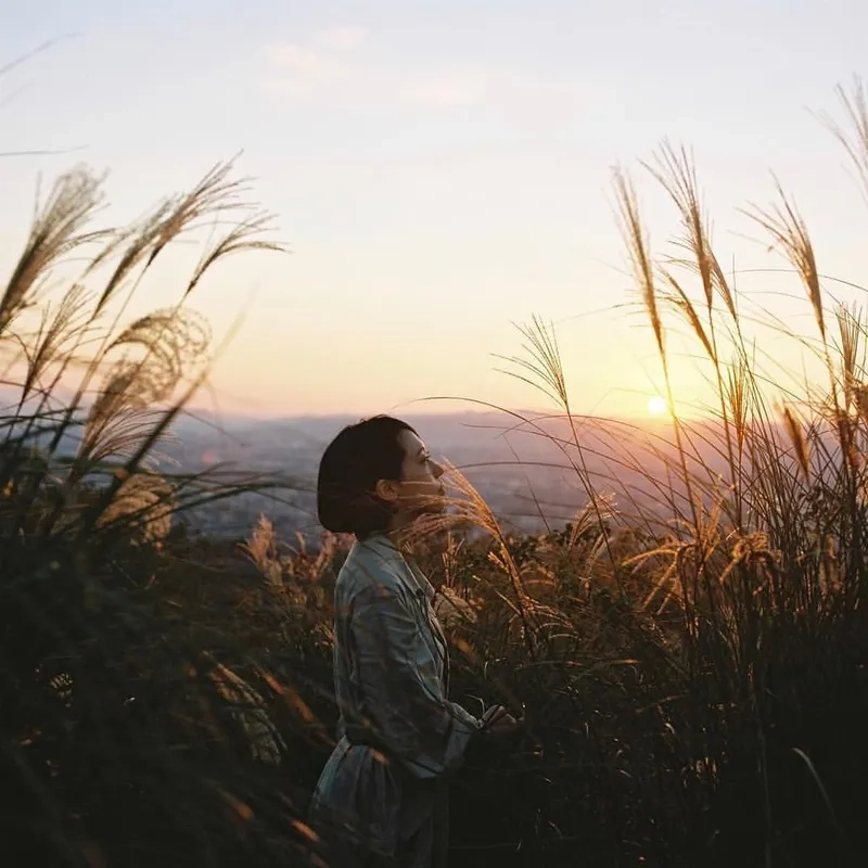 Chụp ảnh sau lưng giúp ghi lại những khoảnh khắc đáng nhớ