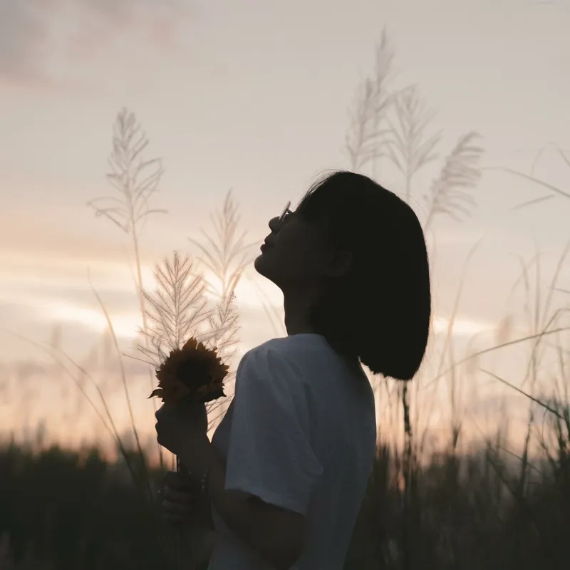 Hình chụp sau lưng tóc ngắn mang lại vẻ đẹp hiện đại