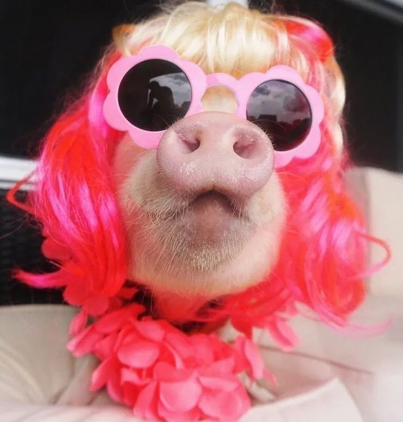 Nheo mắt meme khiến mọi người không thể nhịn cười