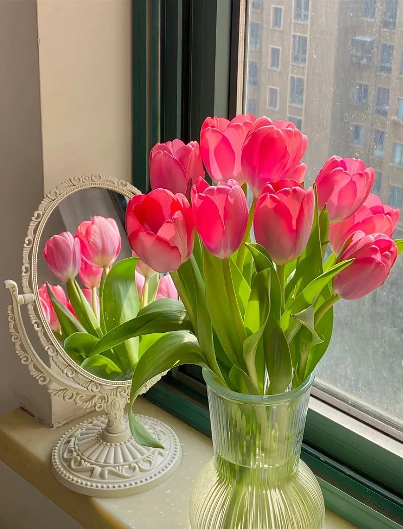 Ngắm nhìn ảnh hoa tulip chill nhẹ nhàng, thư giãn