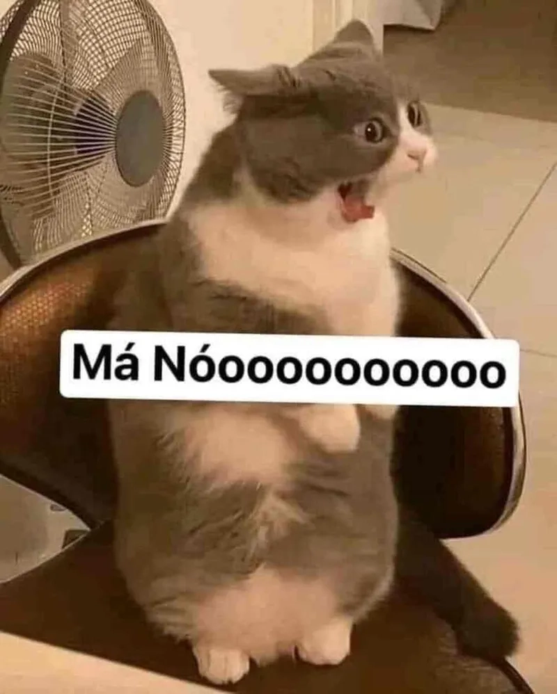 Ảnh meme chửi thề khiến bạn không thể không cảm thấy thích thú