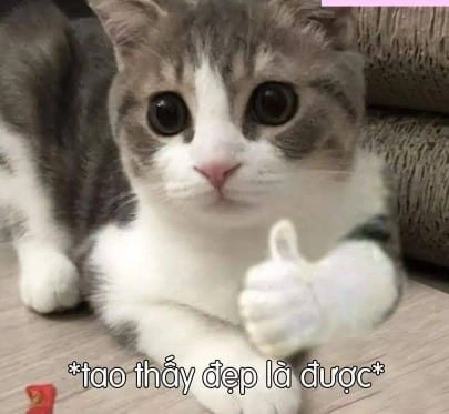 Meme thích vậy đó thể hiện sự đồng cảm trong cuộc sống