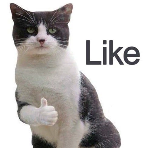 Meme thích chân quang mang lại tiếng cười cho những ai yêu thích hài hước