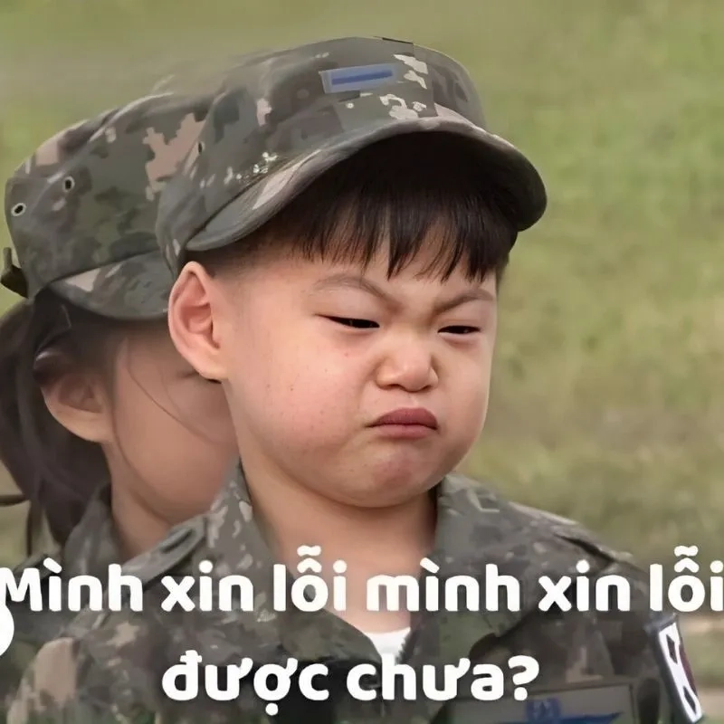 Meme quỳ gối xin lỗi giúp bạn thể hiện sự hối lỗi chân thành