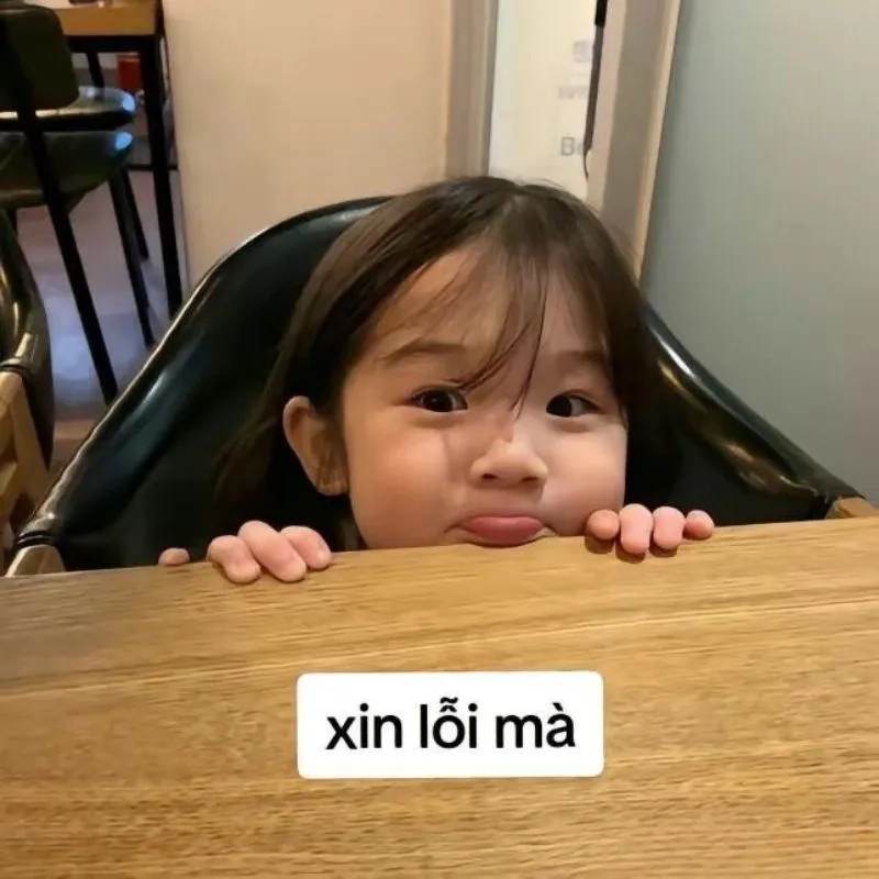 Văn mẫu xin lỗi meme giúp bạn gửi lời xin lỗi một cách dễ dàng