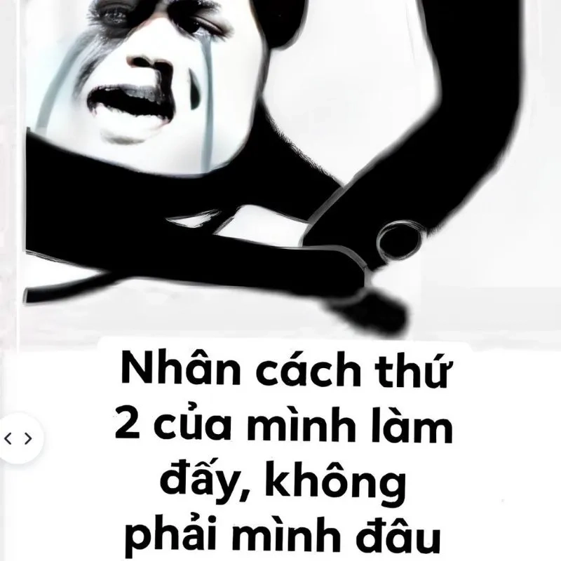 Meme quỳ lạy xin lỗi thể hiện sự hối lỗi chân thành và đáng yêu