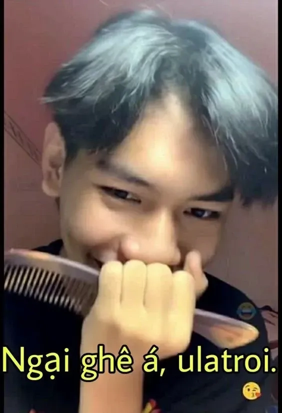 Chúng tôi quan ngại sâu sắc meme thể hiện sự hài hước trong từng khoảnh khắc