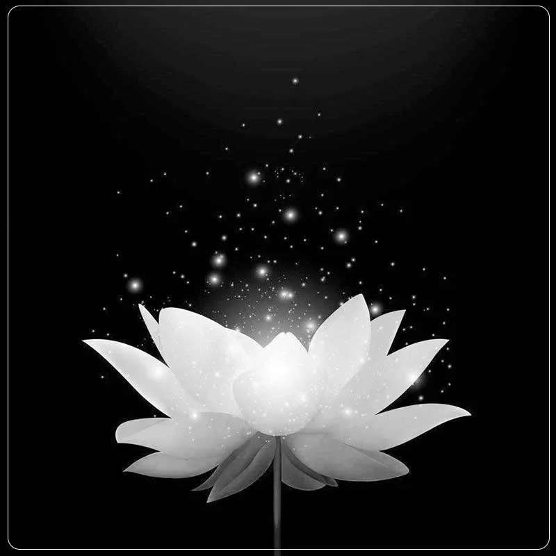 Avatar hoa sen người mất mang lại sự tôn kính và nhớ thương