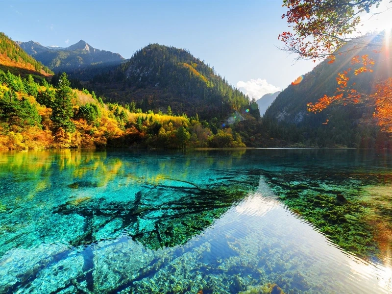 Avatar phong cảnh thiên nhiên sẽ mang lại sự tươi mới cho trang cá nhân của bạn