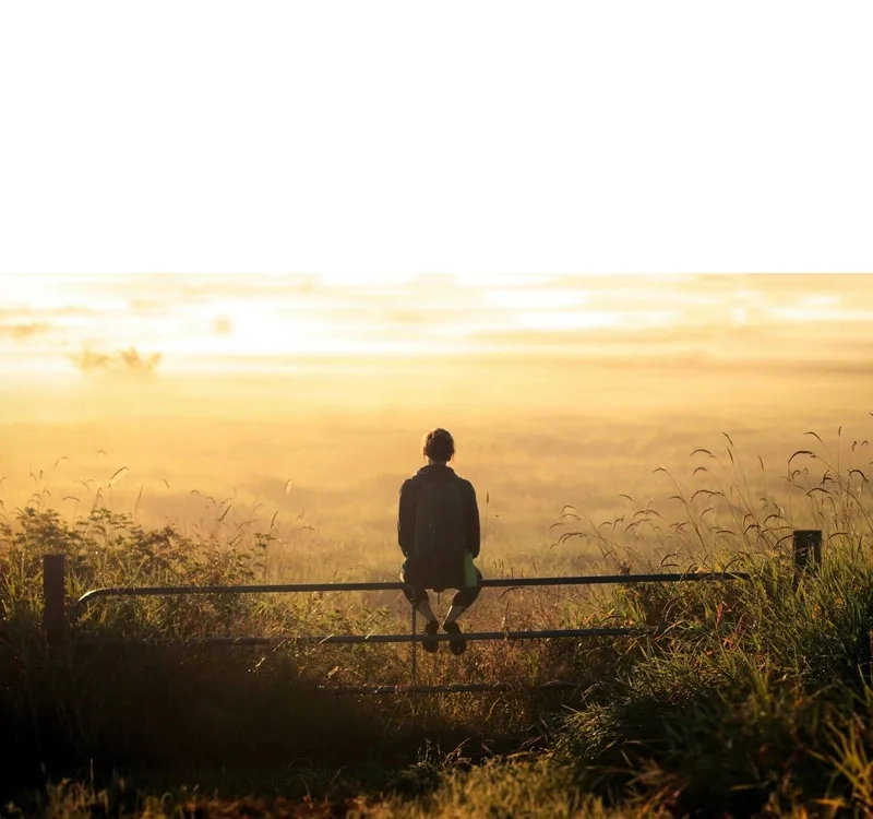 Chọn avatar cô đơn ảnh buồn để thể hiện sự trống trải