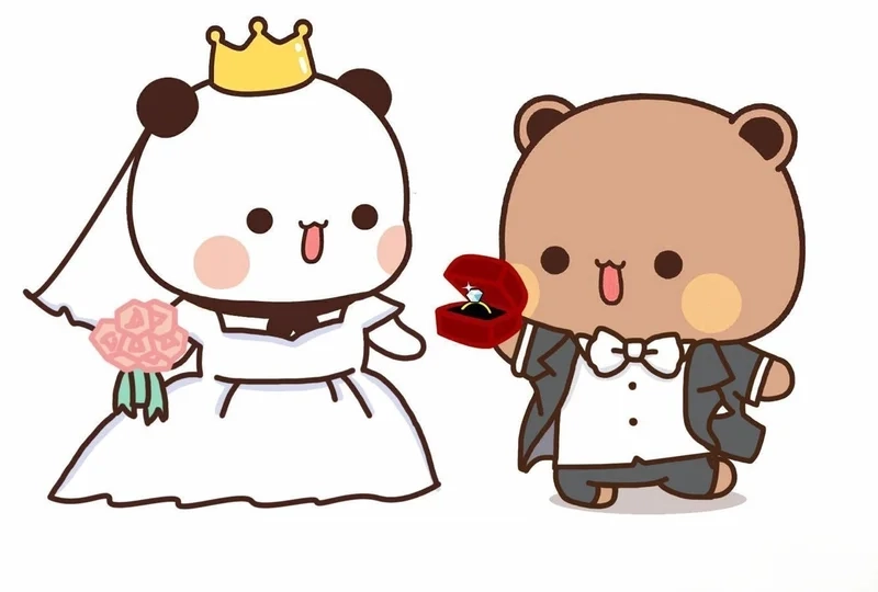 Gấu trắng hình nền sẽ làm cho màn hình của bạn thêm phần sinh động