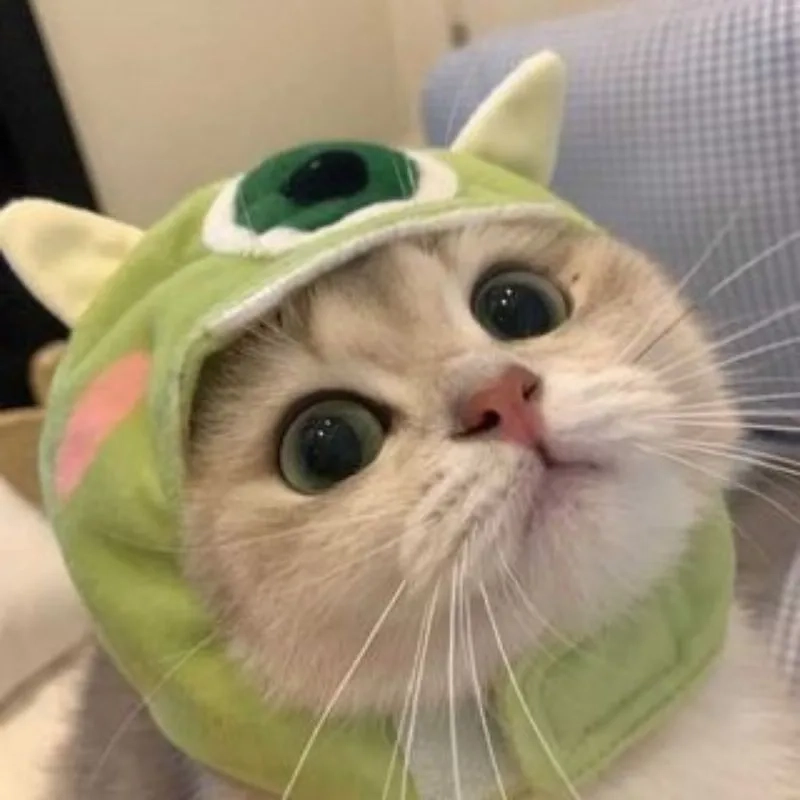 Avatar cute động vật sẽ mang lại sự dễ thương cho trang cá nhân của bạn