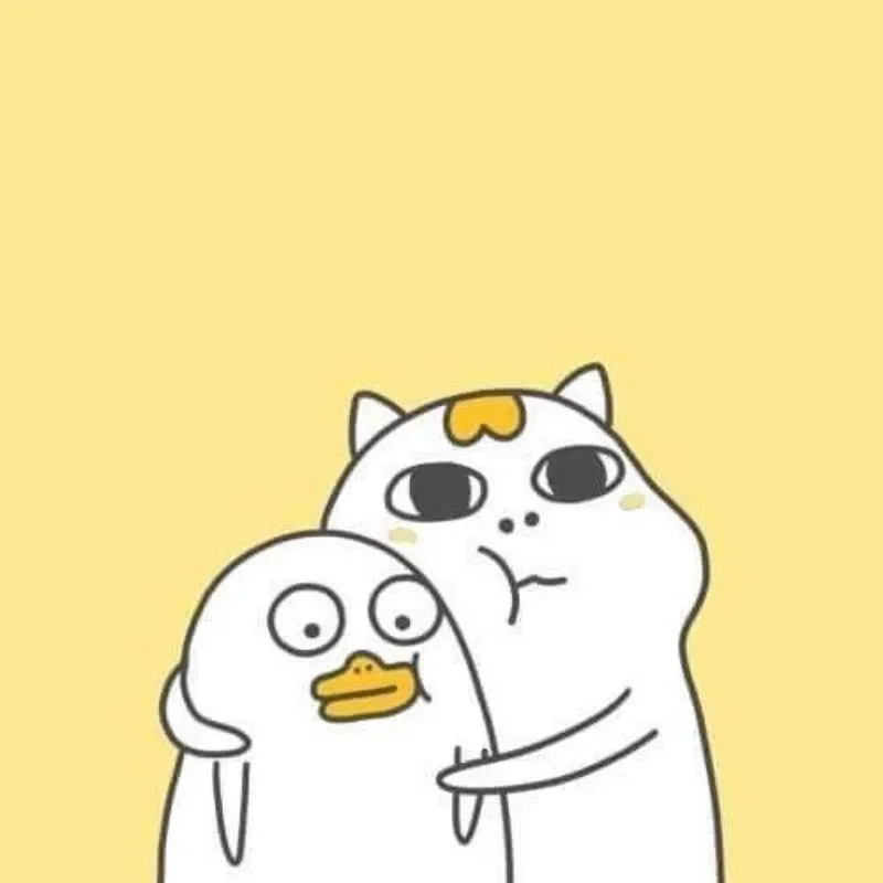 Ảnh meme hài làm avatar giúp bạn nổi bật giữa đám đông