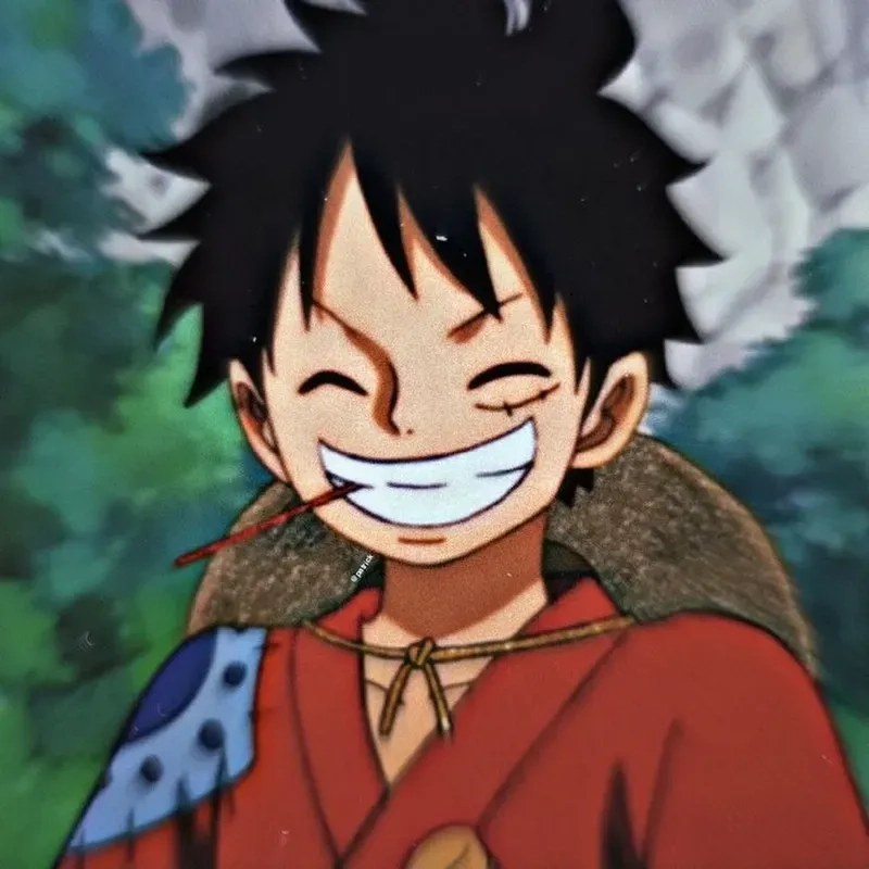 Avatar luffy cute sẽ mang lại sự dễ thương cho trang cá nhân của bạn