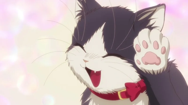 Avatar anime mèo mang đến vẻ đẹp dễ thương và ngộ nghĩnh