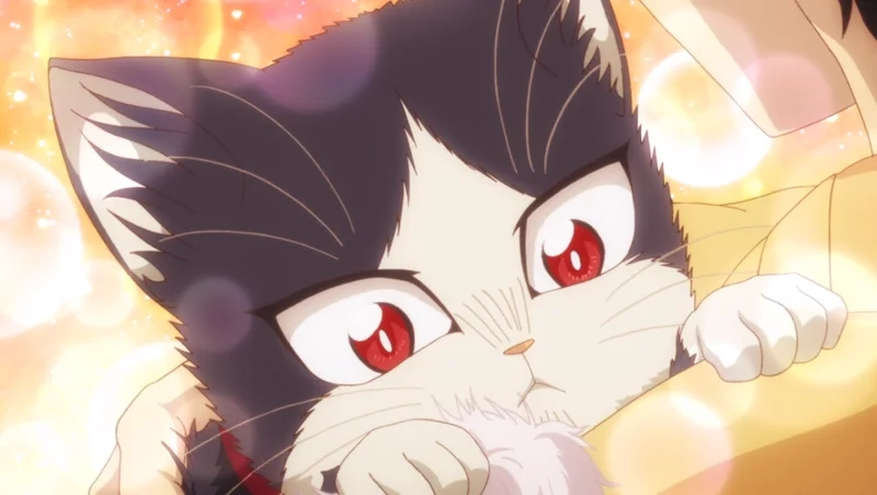 Avatar mèo simmy anime dễ thương cho những ai yêu thích phong cách độc đáo