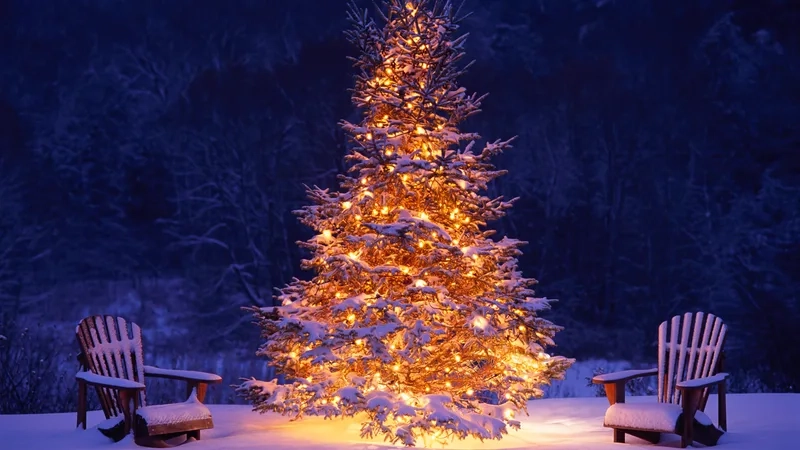 Avatar noel facebook giúp bạn thể hiện phong cách giáng sinh